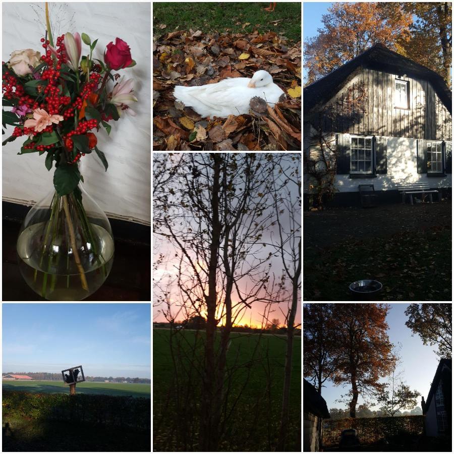 Grenier'S Bed and Breakfast Punthorst Exteriör bild